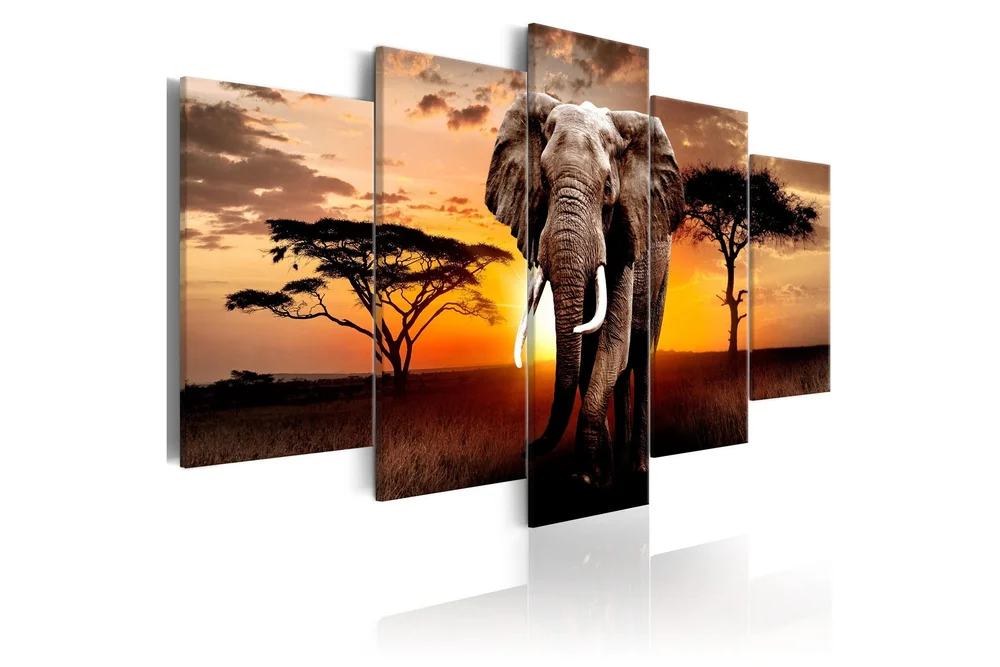 Bilde Elephant Migration 100x50 v:8169392