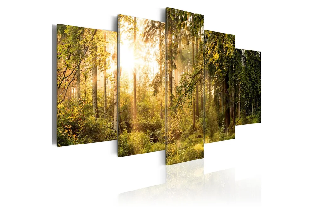 Bilde Magic Of Forest 200x100 v:9683464