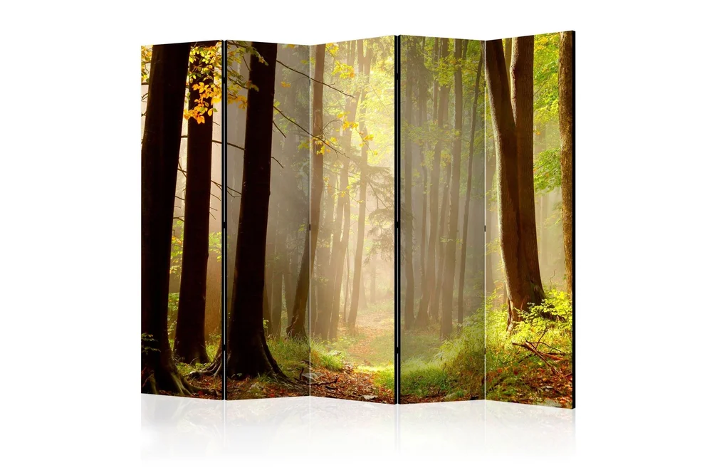 Romdeler - Mysterious forest path II 225x172 v:4958000