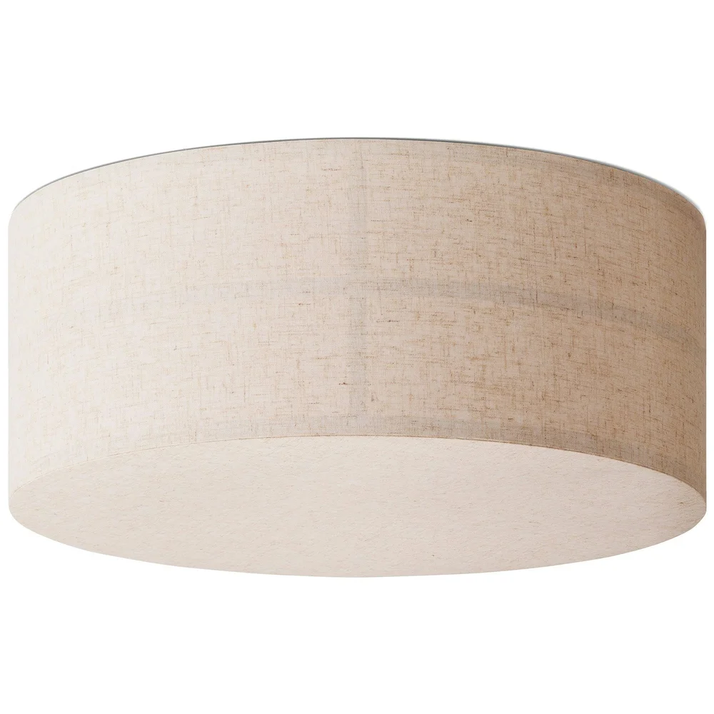 Hashira Plafond, Raw v:725465