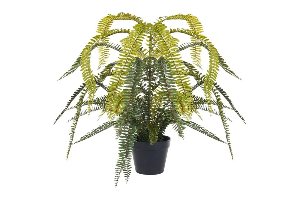 Konstgjord växt Beliani Fern Leaf Plant Green||Black v:9292159