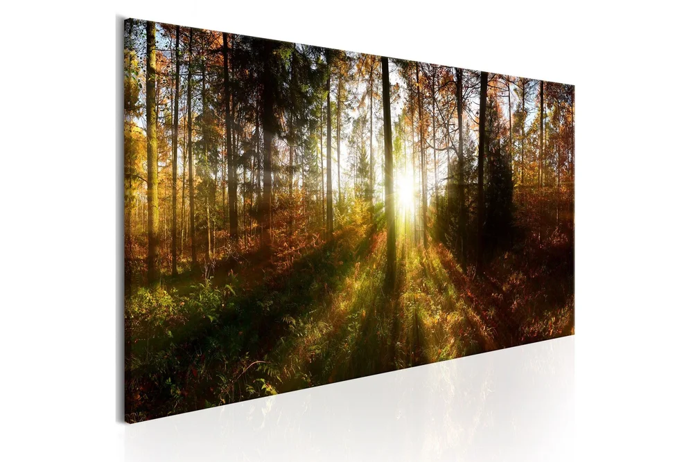 Tavle Beautiful Forest 120X40 v:9371192