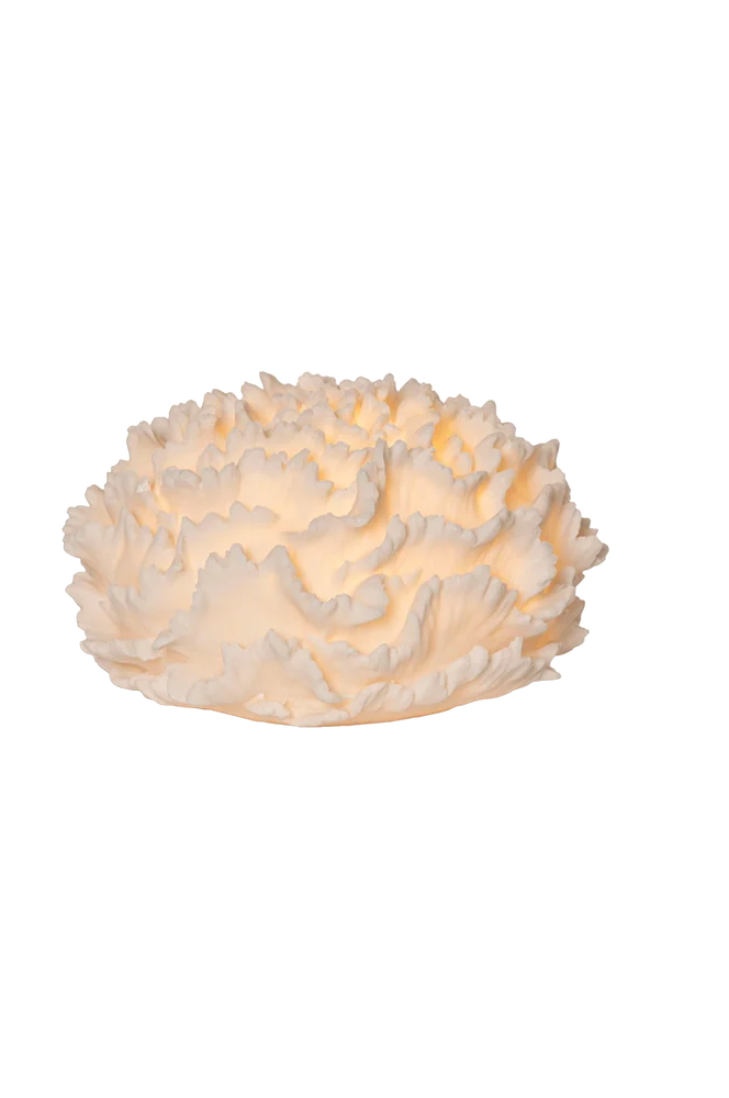 Utendørs dekorasjon Coral – Hvit – Belysning | m v:7515826 Utendørs dekorasjon Coral – Hvit – Belysning | m v:7515826