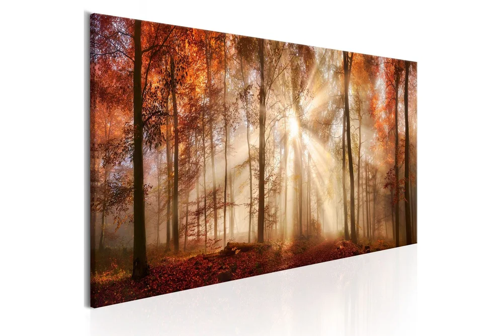 Tavle Autumnal Dawn 120X40 v:1248391
