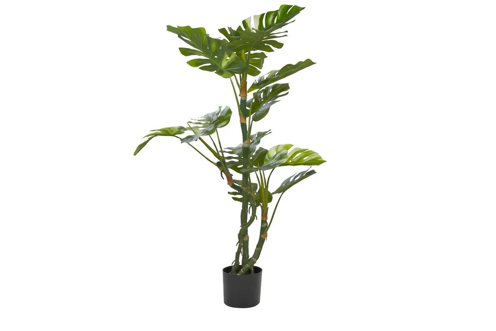 Konstgjord växt Beliani Monstera Plant 75x75x135 cm Green||Black v:7813928