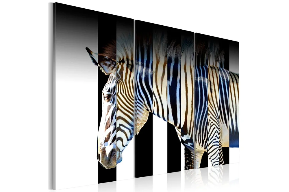 Bilde Stripes 90x60 v:5133552