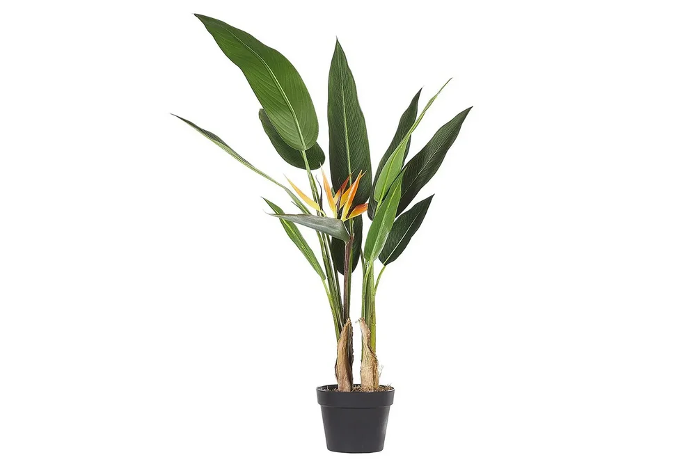 Konstgjord växt Beliani Strelitzia Tree Green||Black||Orange v:5224236