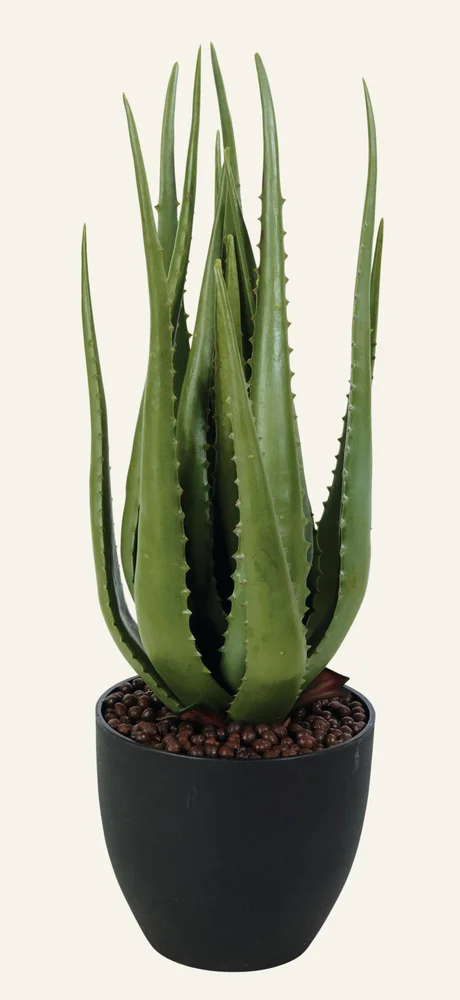 Plante grønn – 58 cm v:4957369 Plante grønn – 58 cm v:4957369