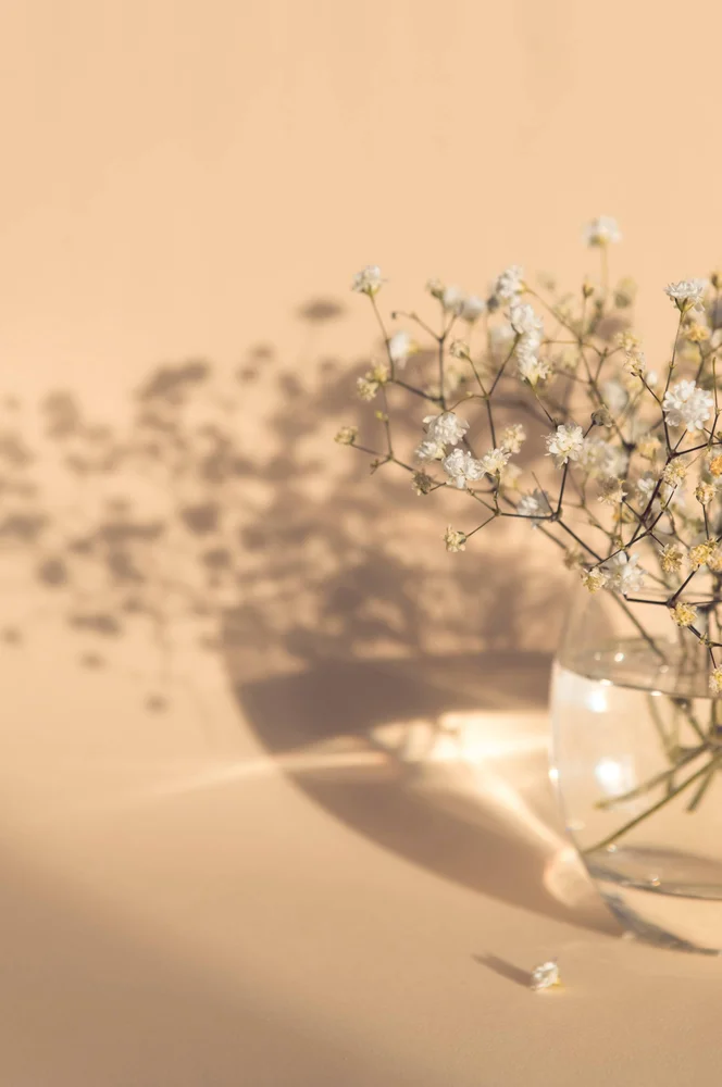 Poster white flowers - Beige - Dekor | m v:3335649
