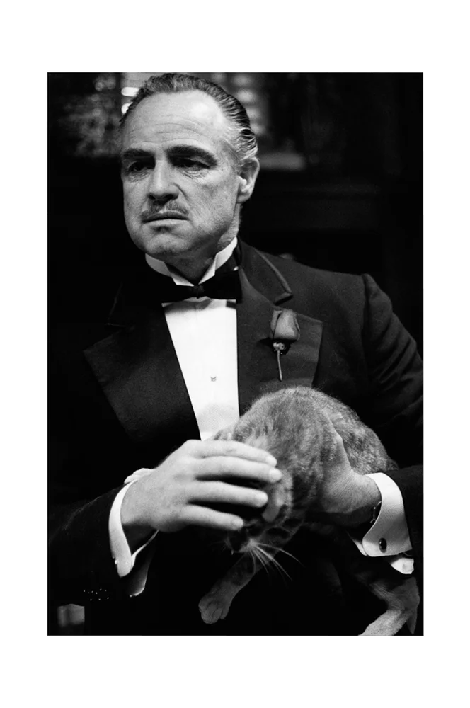 Poster Marlon Brando 2 – Svart – Dekor | m v:8205880