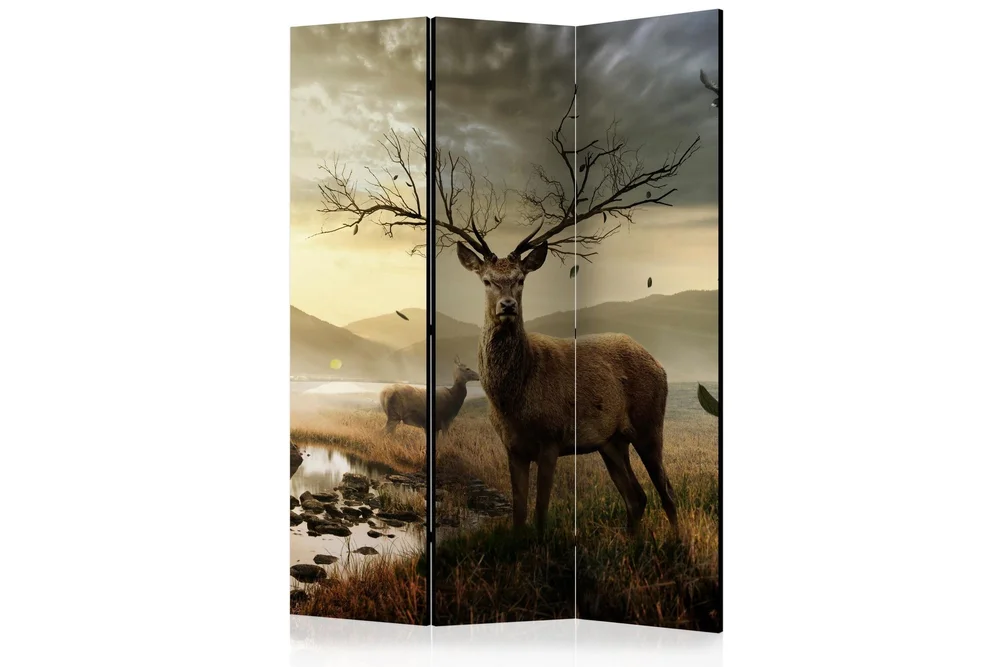 Kadira Romdeler 135×172 v:3054815
