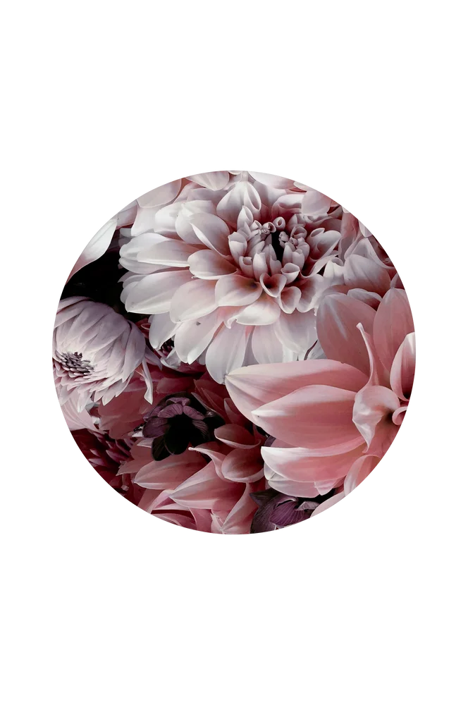 Bilde Opulent 8 – Rosa – Dekor | m v:3796047 Bilde Opulent 8 – Rosa – Dekor | m v:3796047