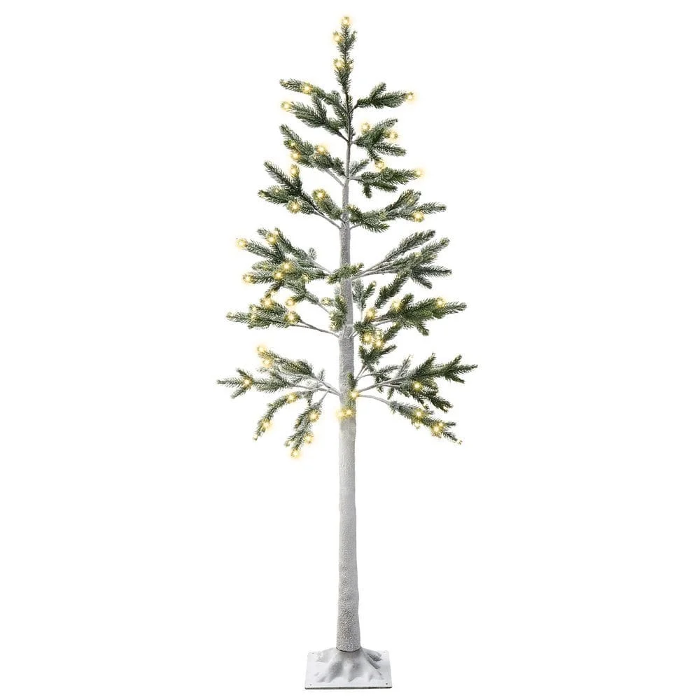 Utendørsdekorasjon Albioni v:2853973