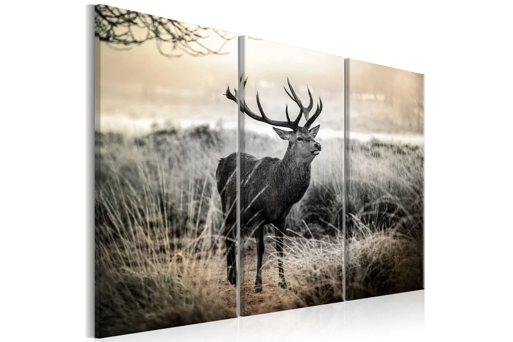 Bilde Dangerous Horns 120x80 v:3892006