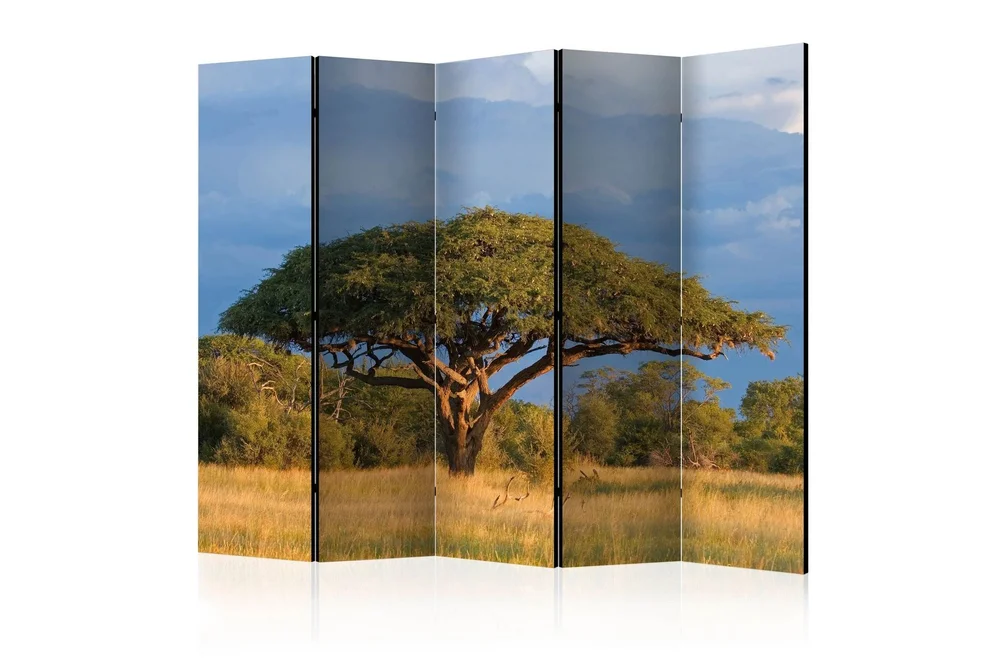 Romdeler - African Acacia Tree 225 v:7131252