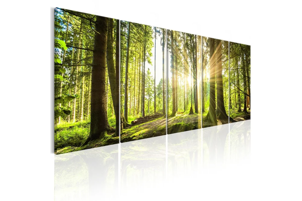 Bilde Sunlight 225x90 v:8593506