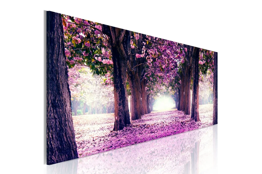 Bilde Purple Spring 135x45 v:7044229