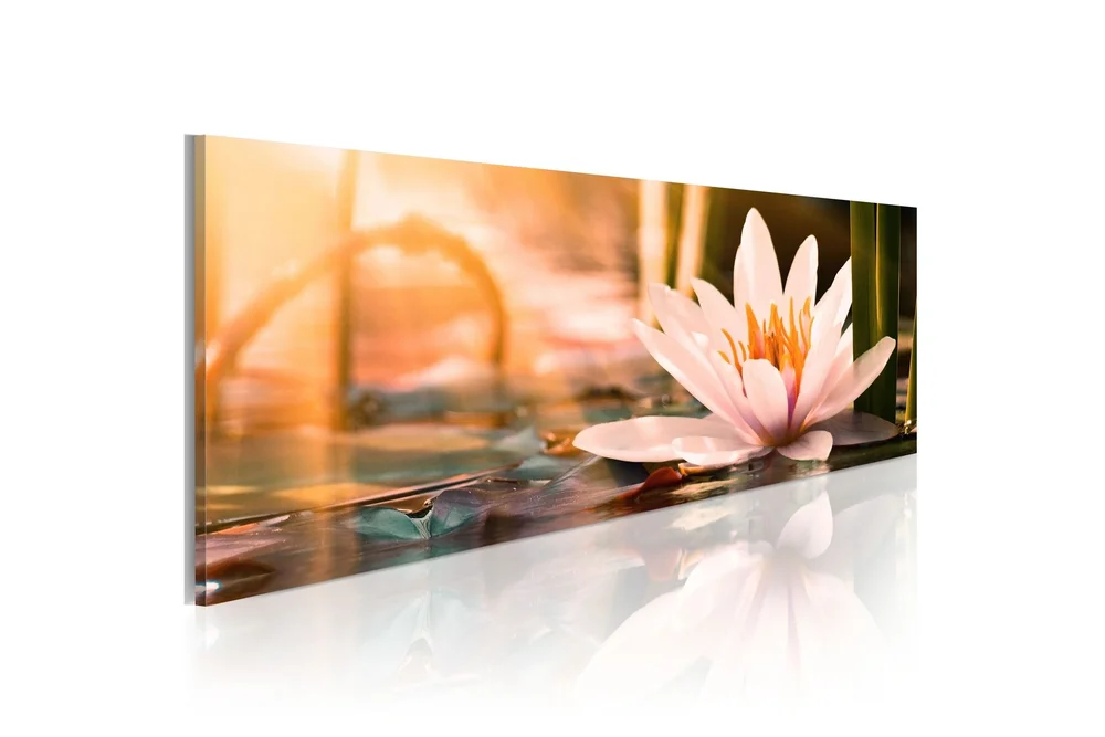 Bilde Beautiful Lotus 150x50 v:9255487