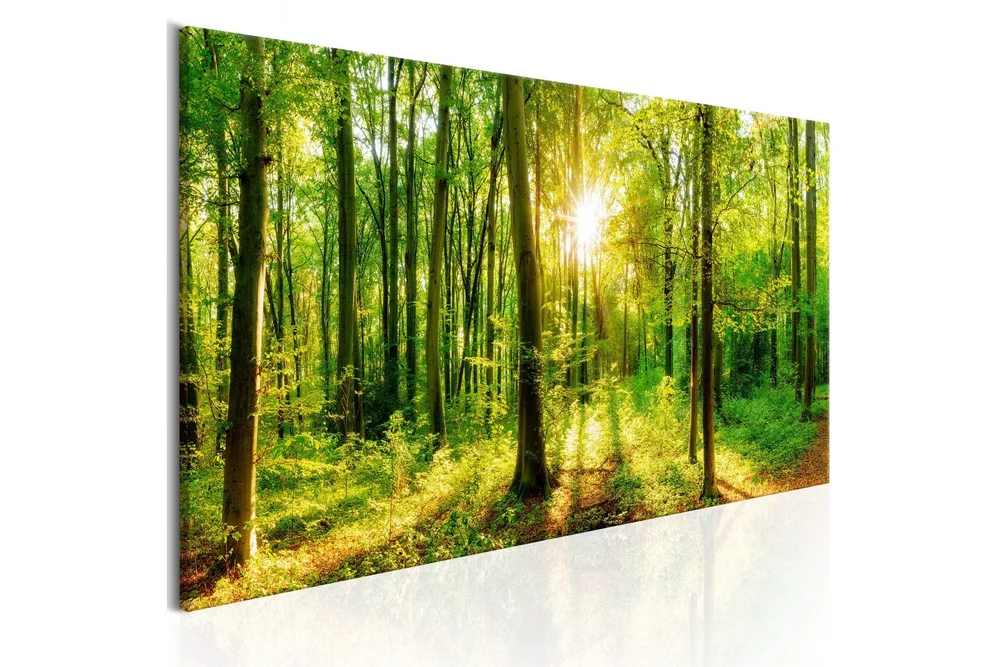 Bilde Green Magic 150x50 v:9739936