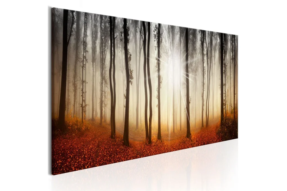 Bilde Autumnal Fog 150x50 v:3509149